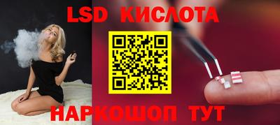 стафф Кандалакша