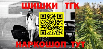тгк Кингисепп
