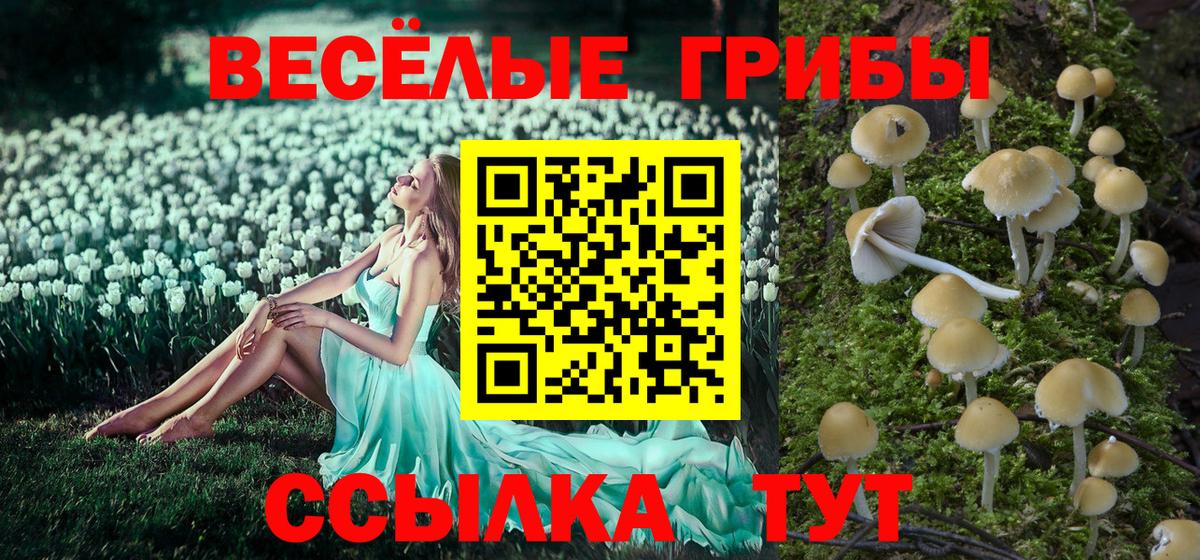Химки  Галлюциногенные грибы ЛСД  Вход с VPN 