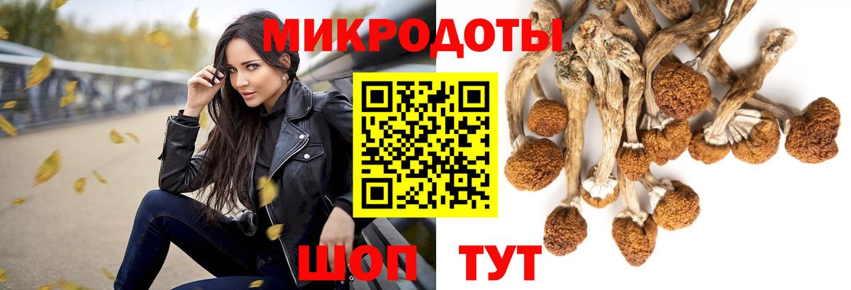 Галлюциногенные грибы MAGIC MUSHROOMS Химки